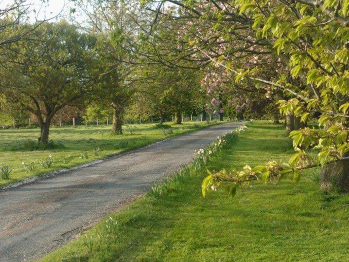 The Judds Folly Hotel, Sure Collection By Western Hotel 3*